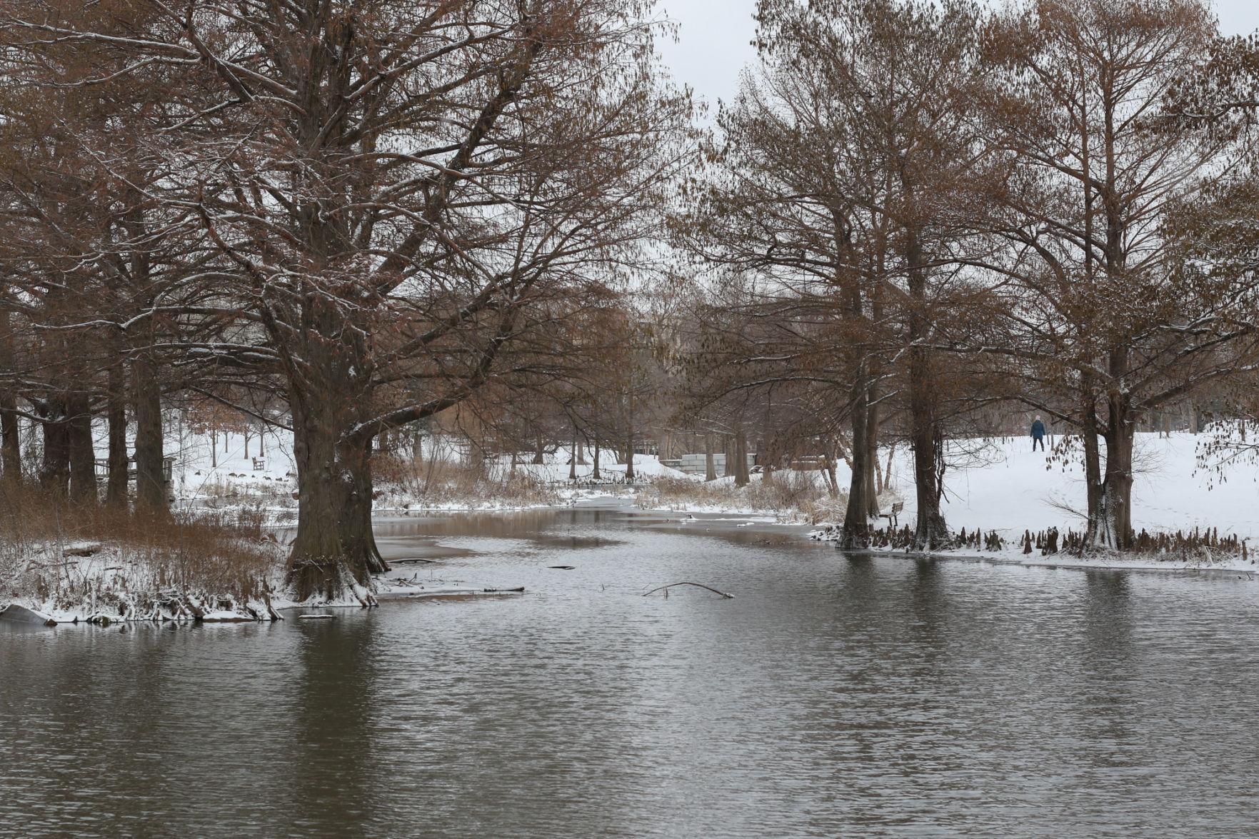 Duck Pond